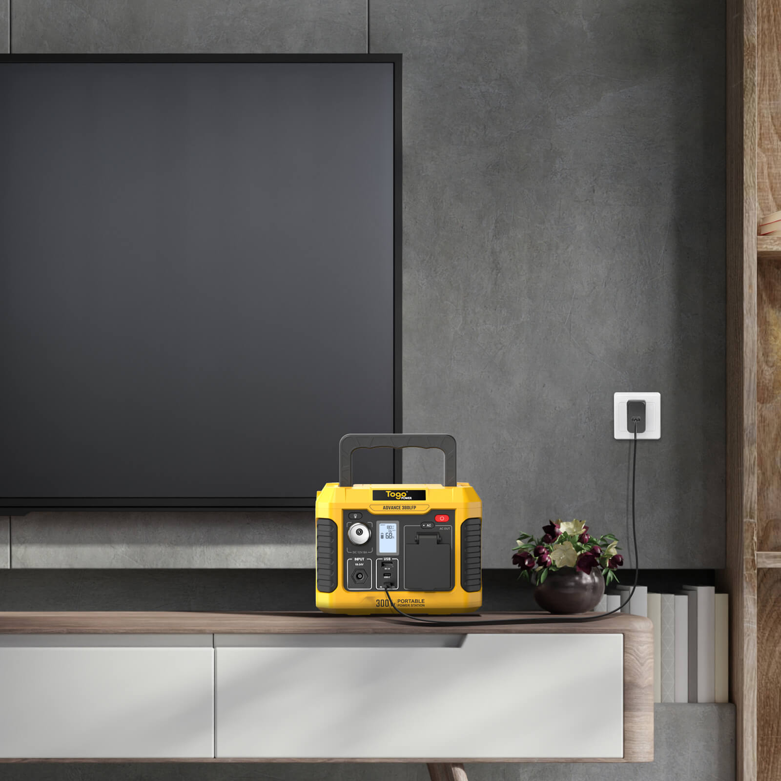 BALDR 65W USB-C Wall Charger PD Adapter for Phone, Laptop and Power station