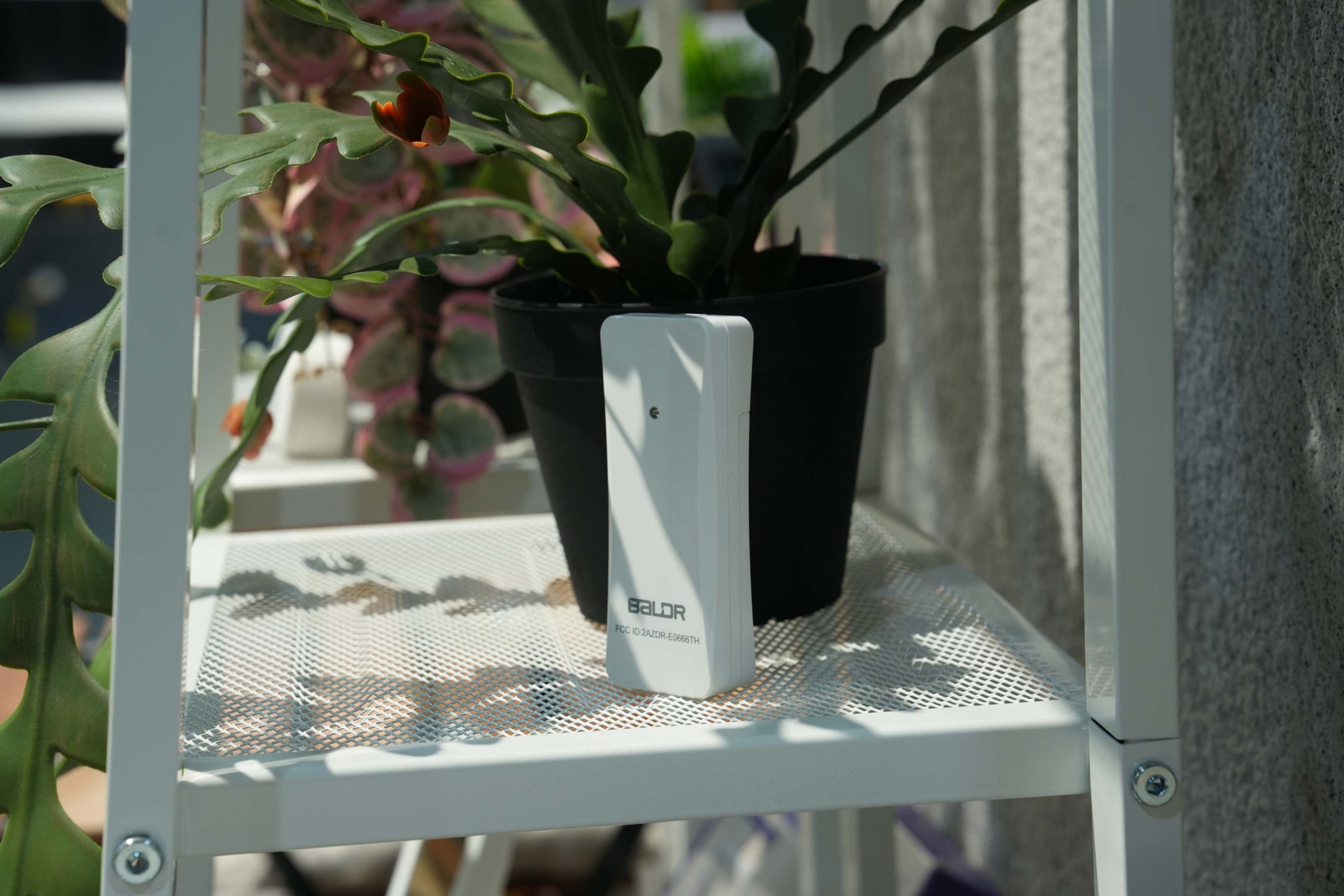 BALDR Wireless Temperature & Humidity Sensor for Weather Stations - Shelf Standing or Wall Hanging - Black (One Sensor Only, Battery Not Included)