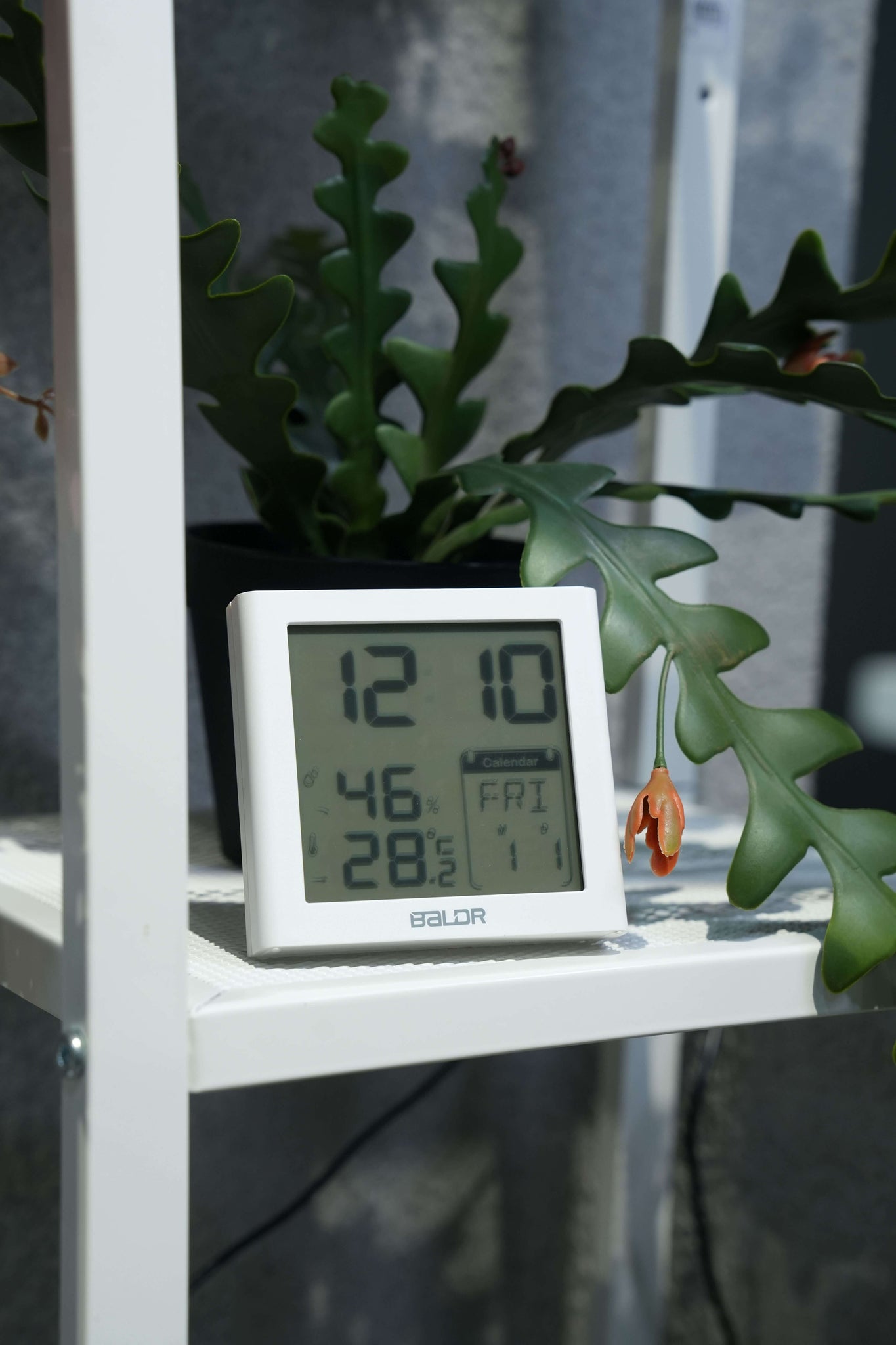 BALDR Digital Clock with Day & Date, Customizable Alarms